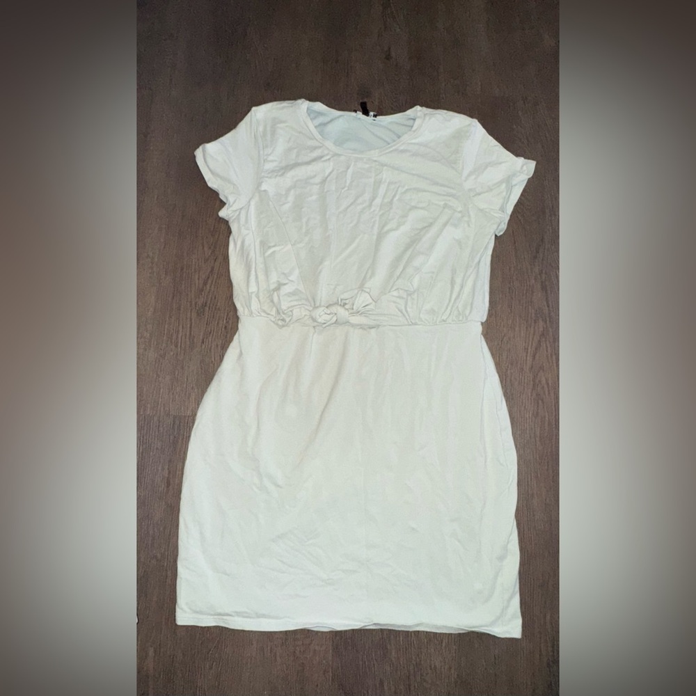 Express double lined dress size large